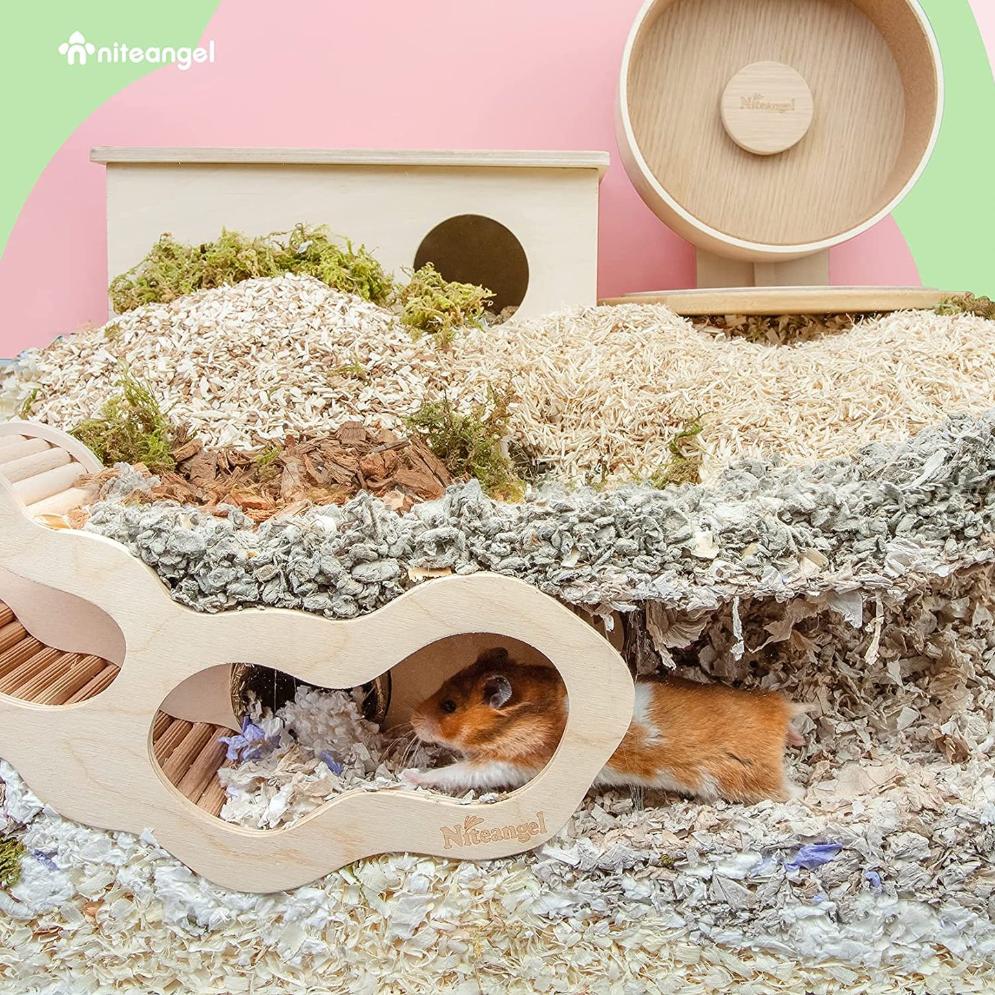 Hamster House with Climbing Ladder for Small Pets, Featuring Secret Peep Tunnel Design