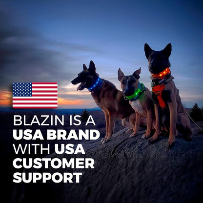 LED Dog Collar - Original USB Rechargeable, Waterproof with 1,000 Feet Visibility - Suitable for Small, Medium, and Large Dogs - US Brand