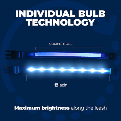 LED Dog Collar - Original USB Rechargeable, Waterproof with 1,000 Feet Visibility - Suitable for Small, Medium, and Large Dogs - US Brand
