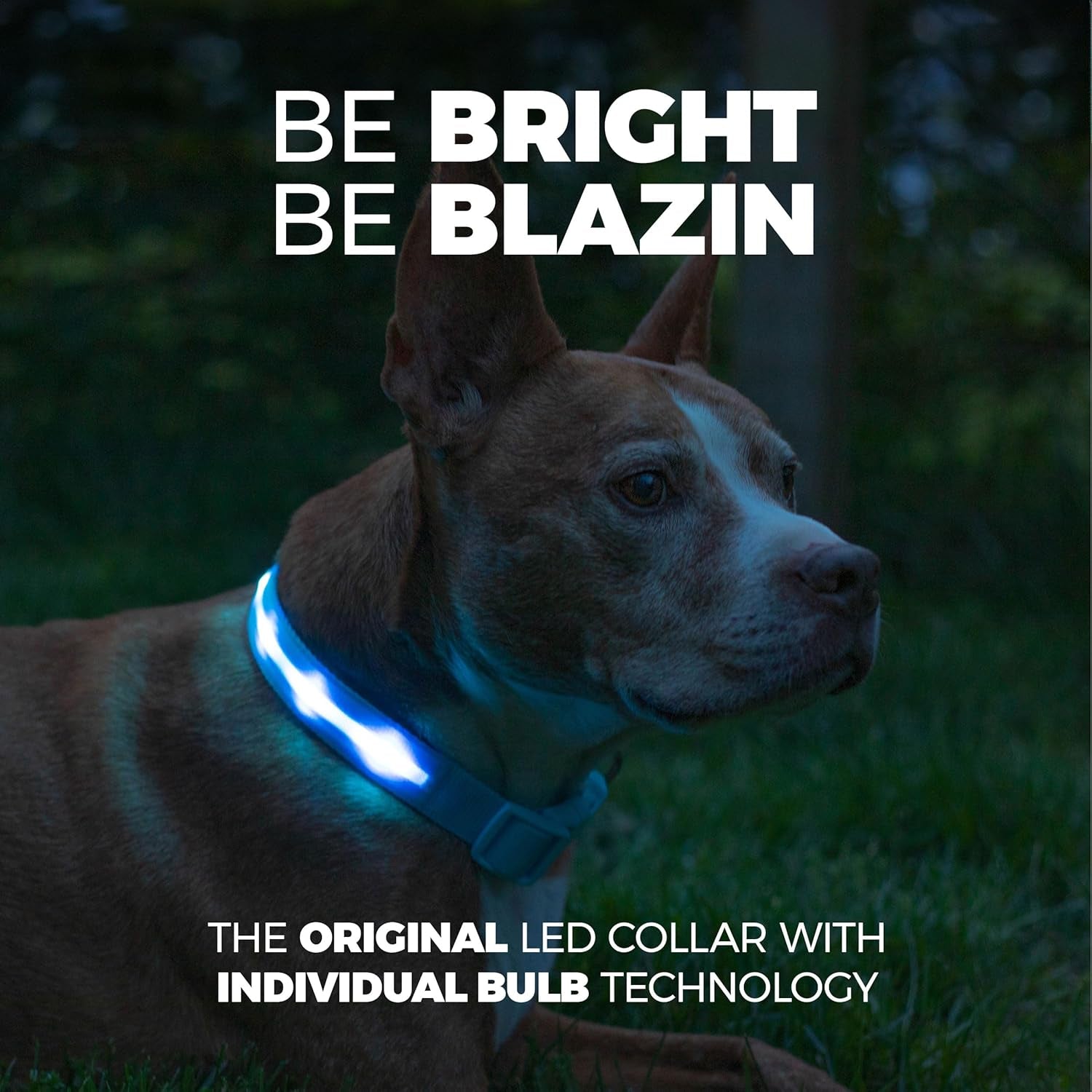 LED Dog Collar - Original USB Rechargeable, Waterproof with 1,000 Feet Visibility - Suitable for Small, Medium, and Large Dogs - US Brand