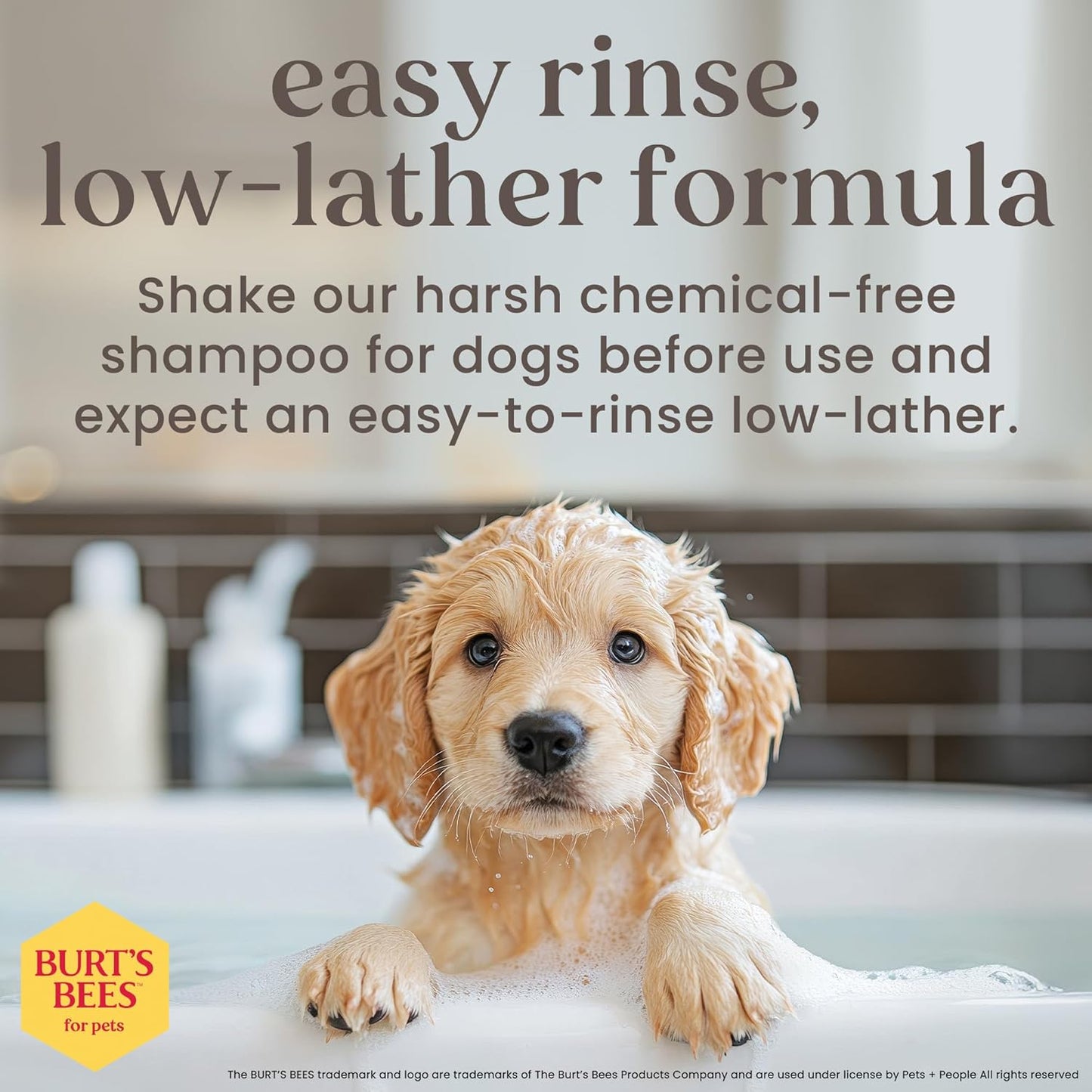 Tearless Puppy Shampoo with Buttermilk, 95% Natural Ingredients, Gentle Tear-Free Formula for Puppies, 32 Oz