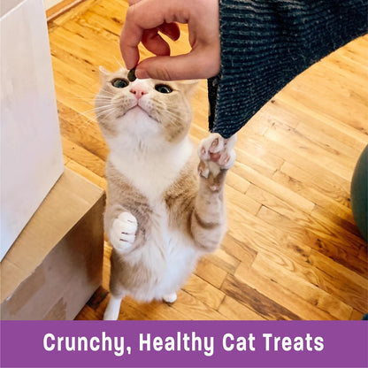 Kittles Crunchy Grain-Free Cat Treats, Tuna & Cranberries Recipe, Suitable for All Life Stages, 6 oz