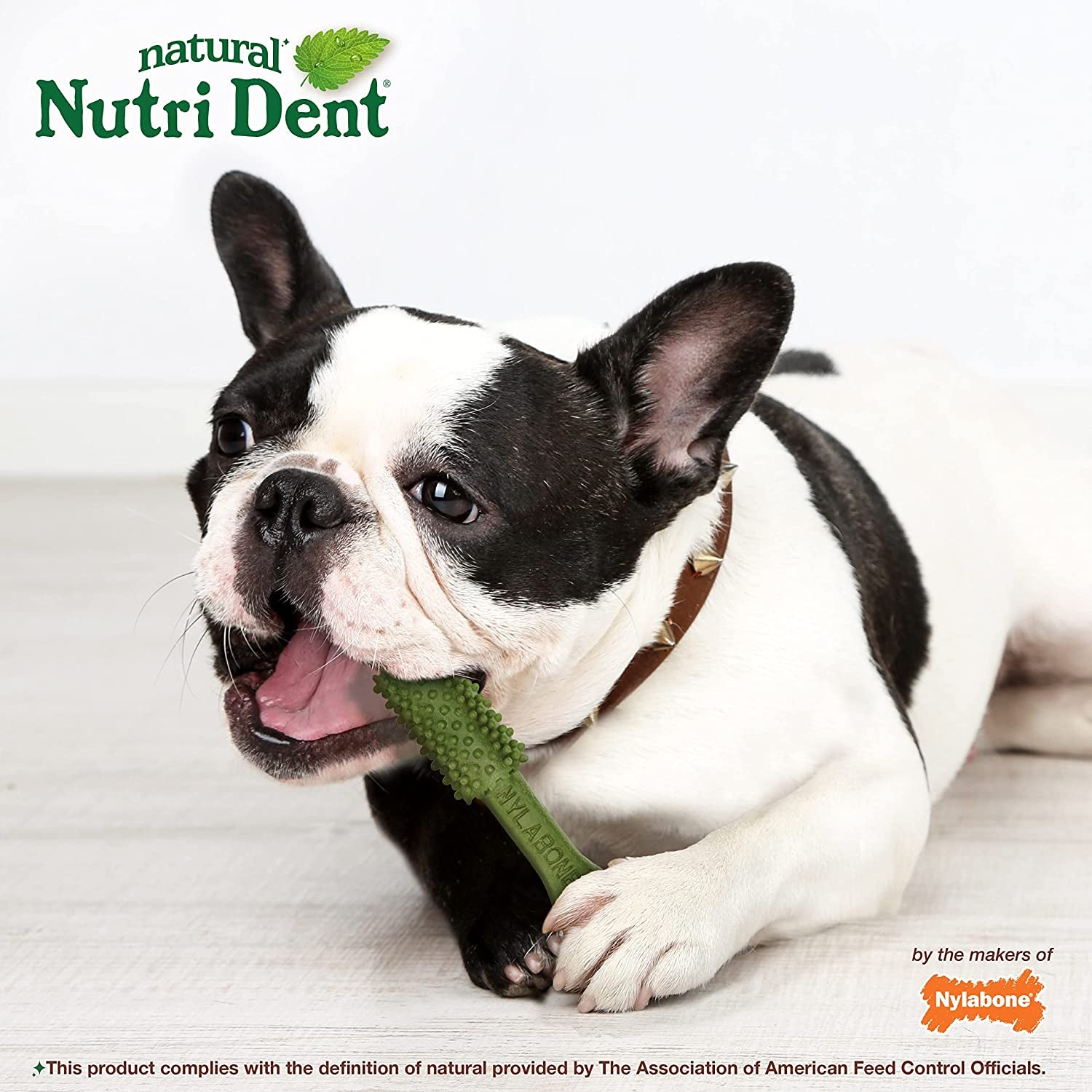 Nutri Dent Natural Dog Dental Treats - Teeth Cleaning and Breath Freshener for Medium Dogs - Fresh Breath Flavor (40 Count)