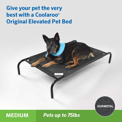 Elevated Dog Bed - Breathable Off-The-Ground Design with Cooling Fabric, Joint Relief, Moisture-Resistant Material, 100% Recyclable, Easy to Clean, Gunmetal, Medium