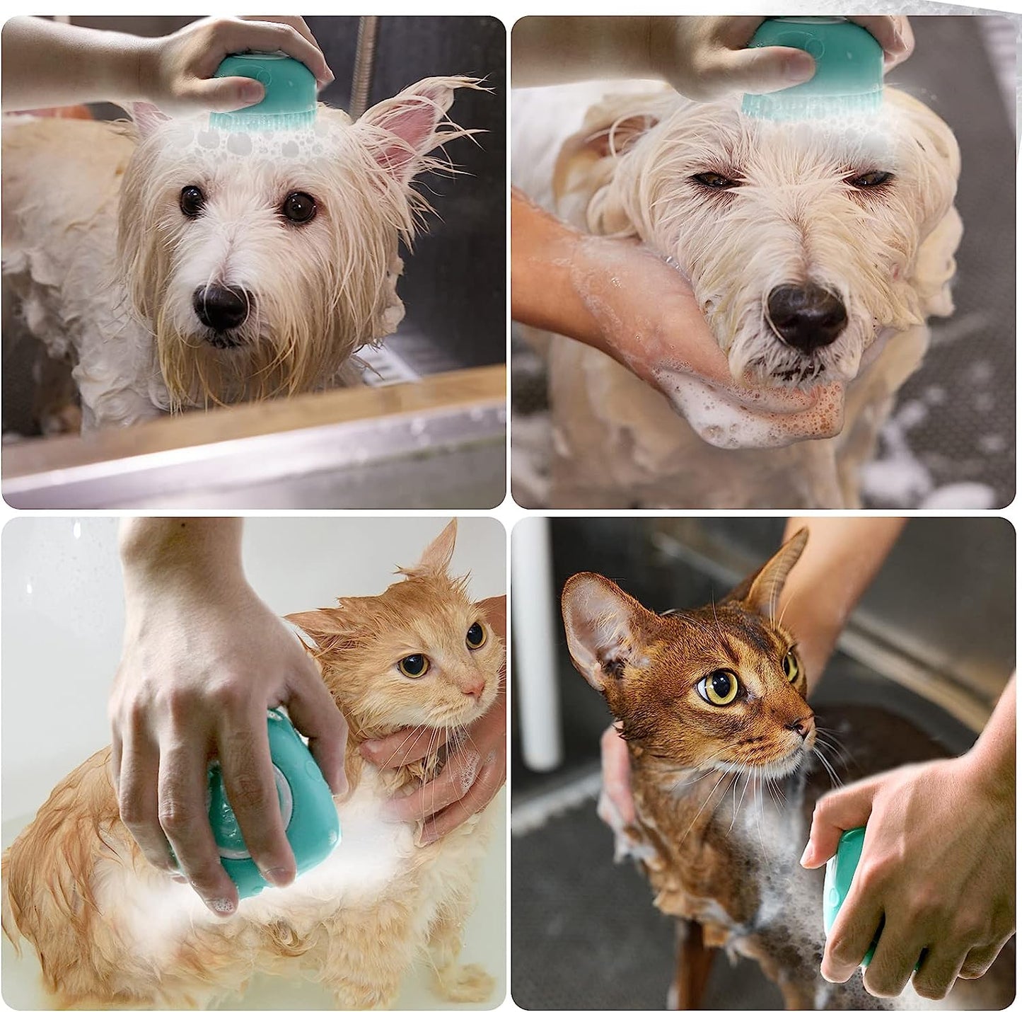 Soft Silicone Pet Bath Brush with Shampoo Dispenser for Dogs and Cats - Grooming Shower Scrubber (Blue)