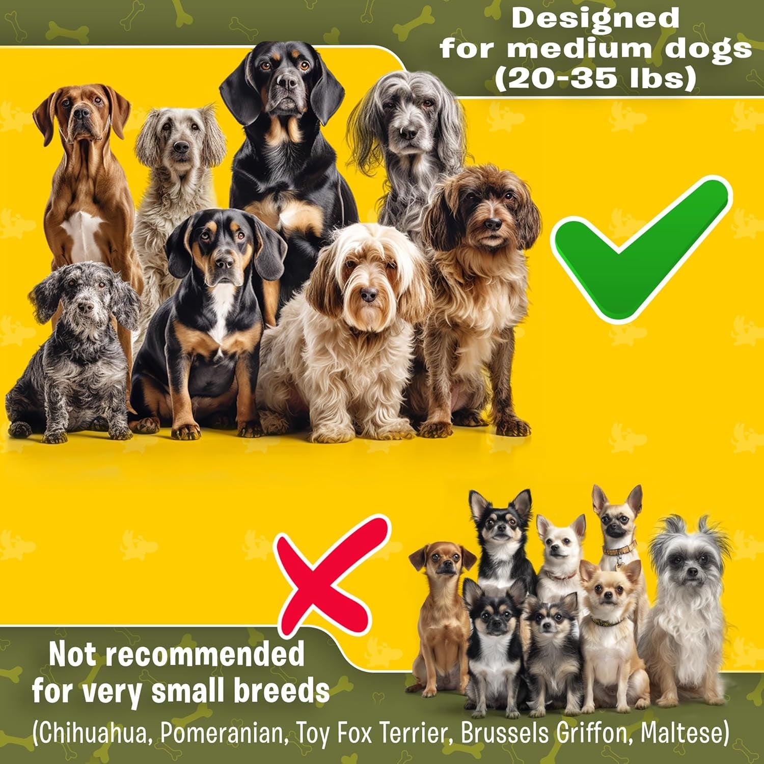 Exquisite Hands Free Dual Dog Leash for Medium Dogs. Trending Waist Leash for Walking 2 Dogs No Tangle. You Will Absolutely Love This Amazing Double Dog Gear (Dark Grey & Pink)