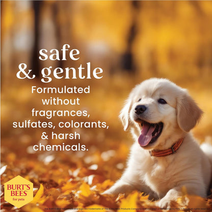 Tearless Puppy Shampoo with Buttermilk, 95% Natural Ingredients, Gentle Tear-Free Formula for Puppies, 32 Oz