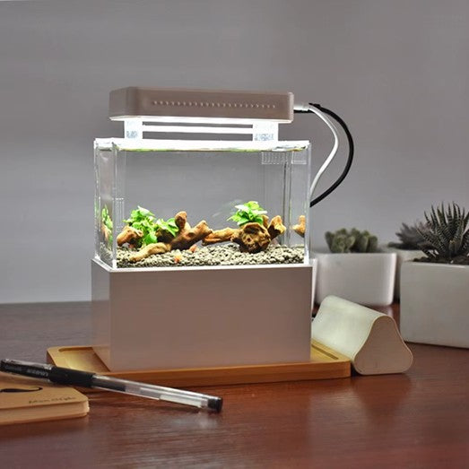 1.5L Mini Betta Fish Tank – Elegant Desktop Aquarium with LED Light & USB Air Pump